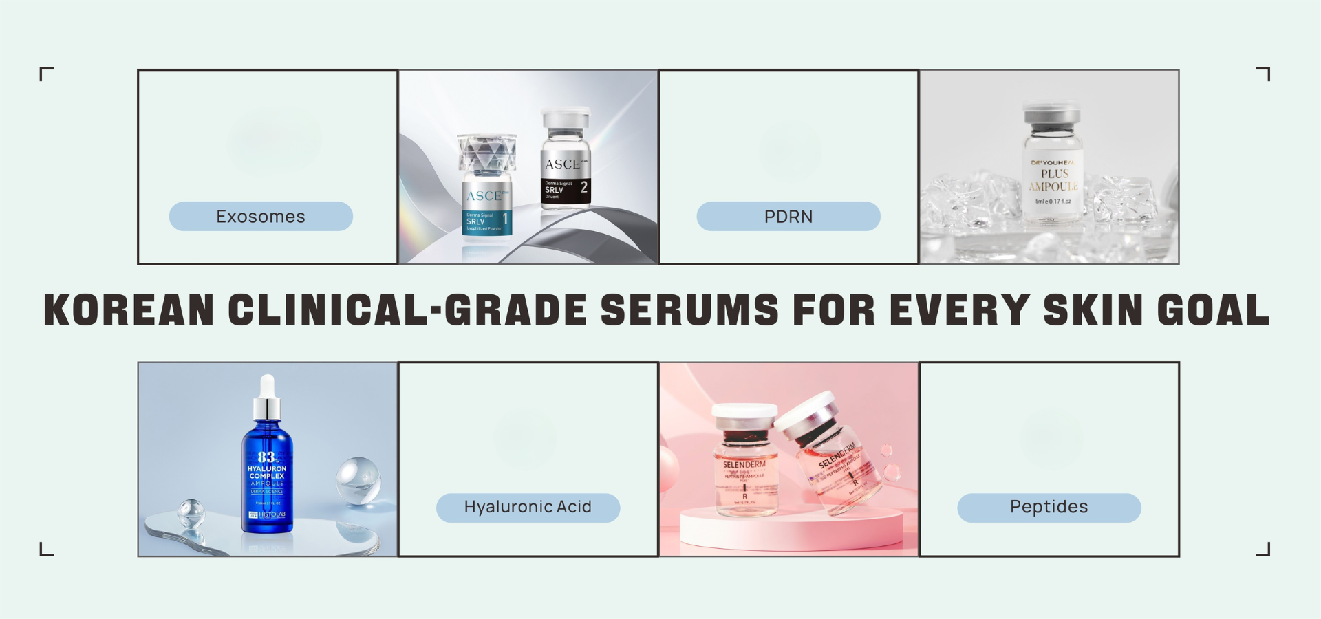 DermaQueen Skincare Collection